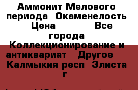 Аммонит Мелового периода. Окаменелость. › Цена ­ 2 800 - Все города Коллекционирование и антиквариат » Другое   . Калмыкия респ.,Элиста г.